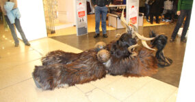 Krampuslauf LentiaCity Linz, 17. Dezember 2013 | Salzburger Schiachpercht'n und Krampusse