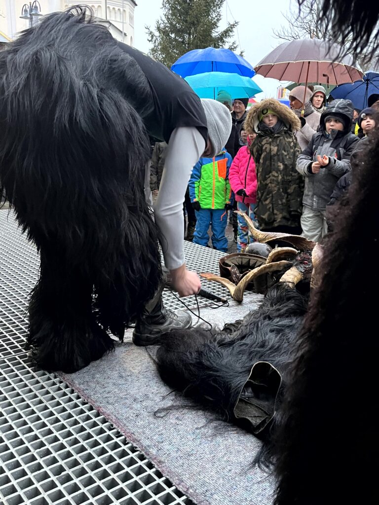 Perchten Hoagascht Wals, 6. Jänner 2024 | Salzburger Schiachpercht'n und Krampusse