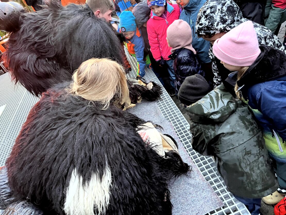 Perchten Hoagascht Wals, 6. Jänner 2024 | Salzburger Schiachpercht'n und Krampusse