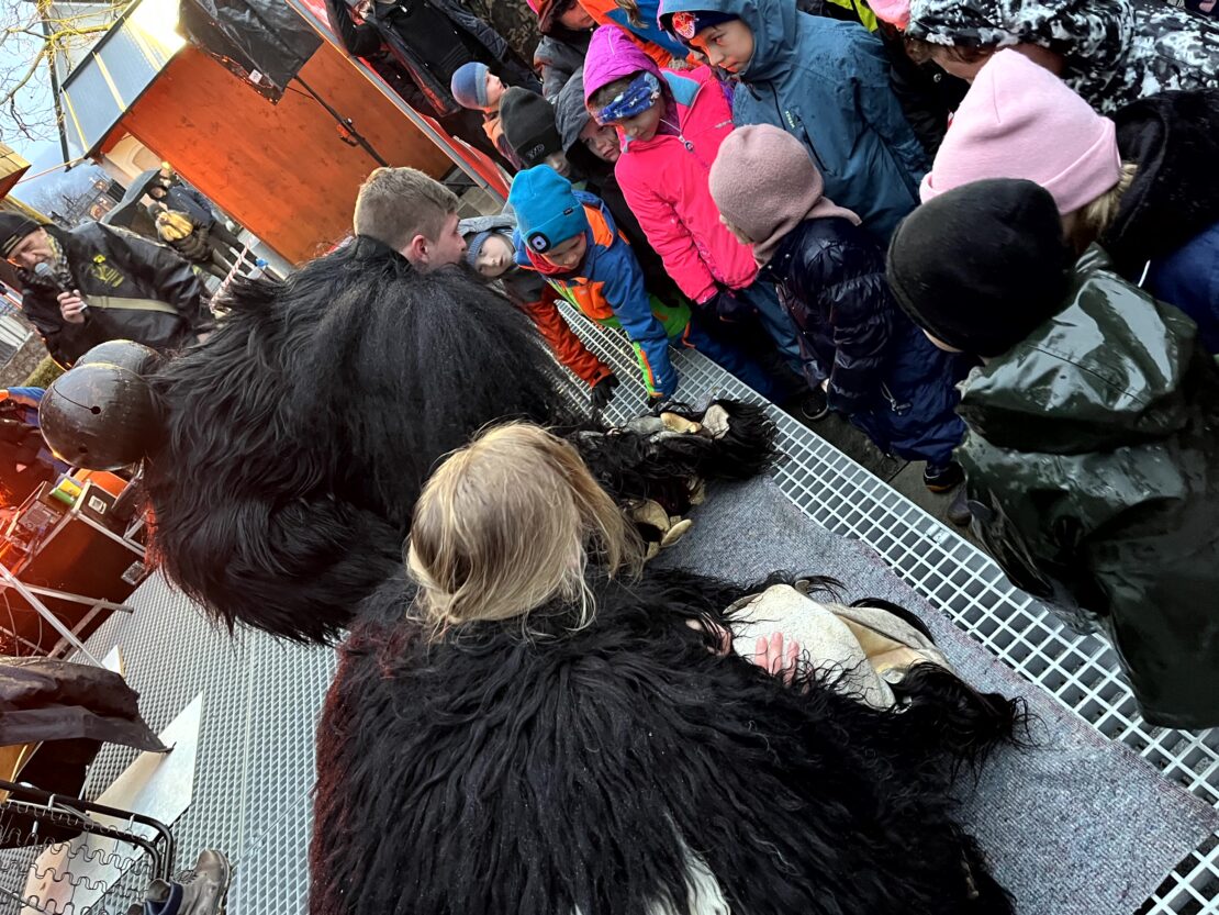 Perchten Hoagascht Wals, 6. Jänner 2024 | Salzburger Schiachpercht'n und Krampusse