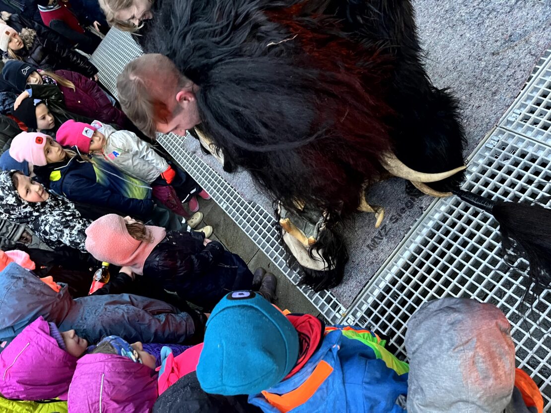 Perchten Hoagascht Wals, 6. Jänner 2024 | Salzburger Schiachpercht'n und Krampusse