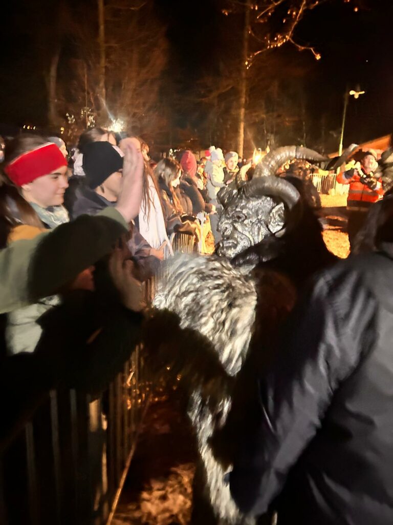 26. Hallwanger Krampuslauf am 28. 11. 2025